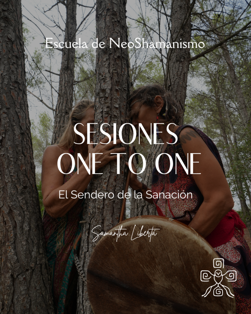 Cartel de Sesiones one to one